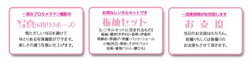 成人振袖レンタルパック