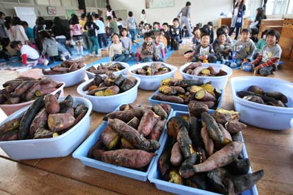 美味しそうに見えませんか？食べきれないくらいたくさんできました。